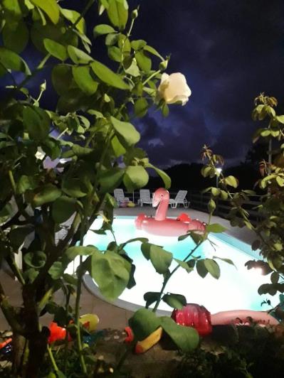 Image No.7-3 Bed Villa for sale