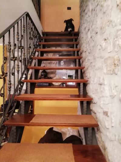 Image No.30-Maison de 3 chambres à vendre à Caccamo