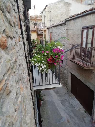 Image No.1-Maison de 3 chambres à vendre à Caccamo