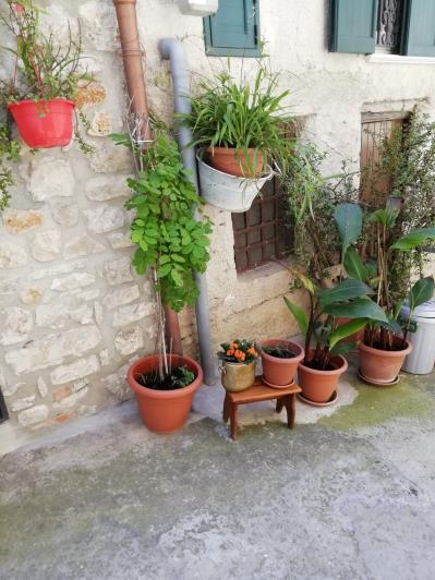 Image No.34-Maison de 3 chambres à vendre à Caccamo