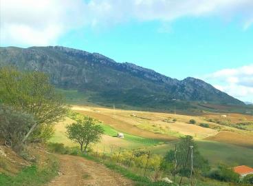 Katsnelson---Ci----5-