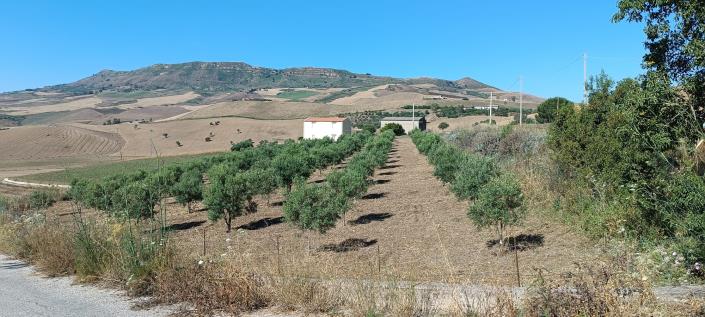 Image No.25-2 Bed House/Villa for sale