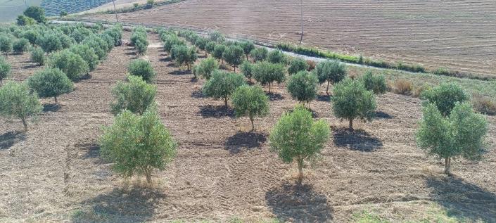 Image No.32-2 Bed House/Villa for sale