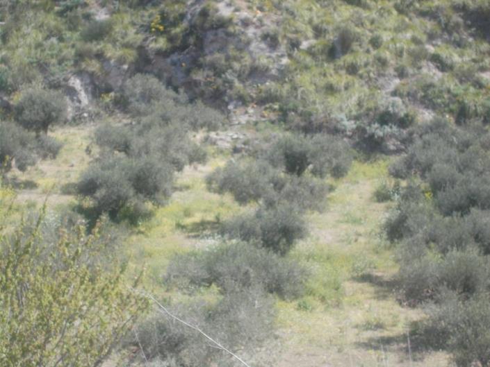 Image No.16-4 Bed Land for sale