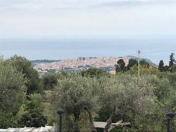 Arrigo-G-pp---Ci---2-