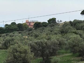 Arrigo-G-pp---Ci---1-