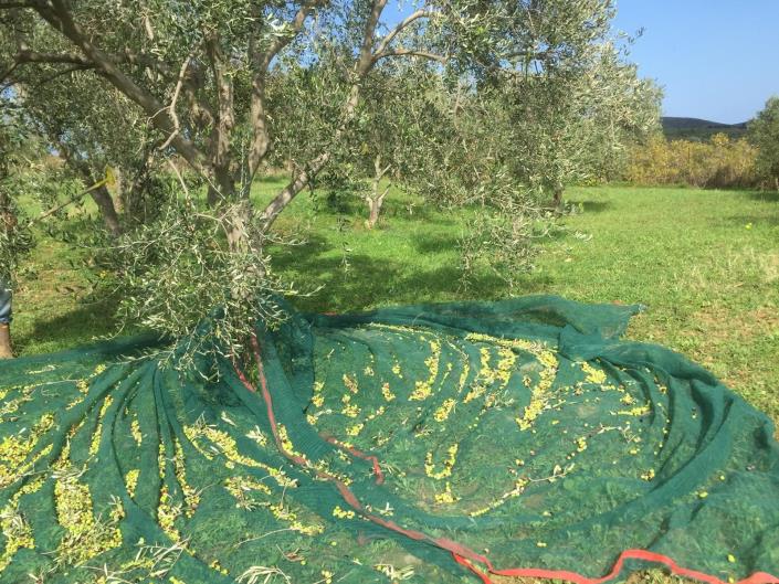 Image No.14-4 Bed Villa for sale