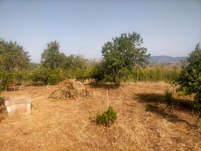 Image No.3-1 Bed Villa for sale