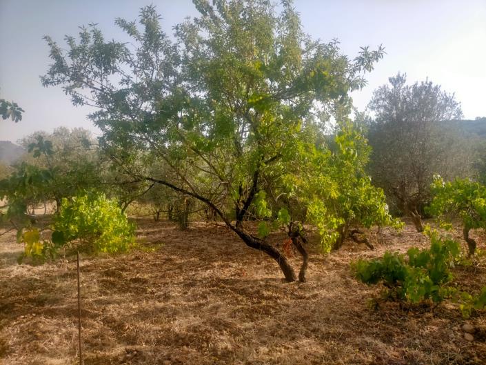 Image No.13-1 Bed Villa for sale