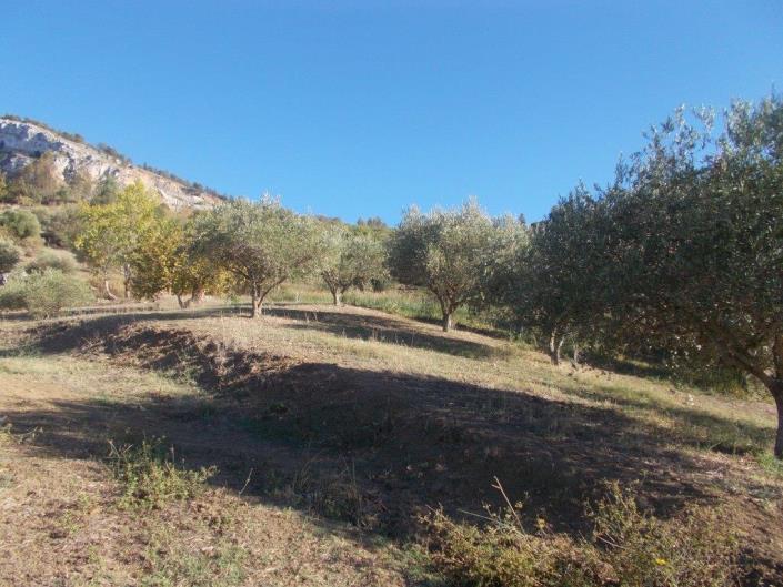 Image No.18-3 Bed Land for sale