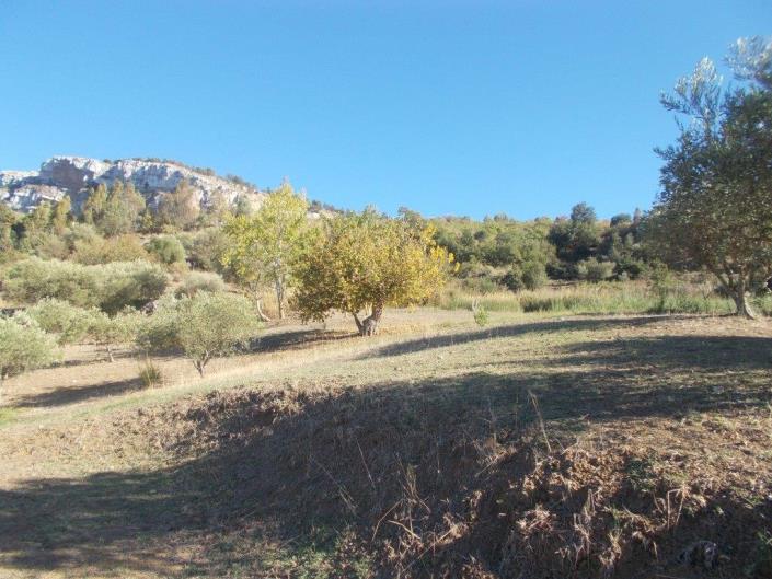 Image No.19-3 Bed Land for sale