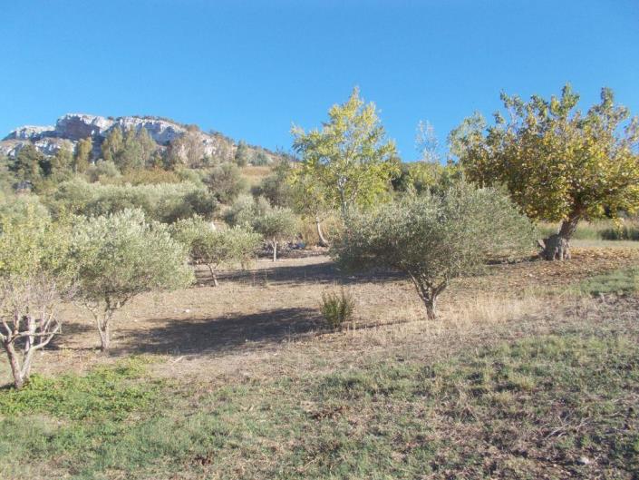 Image No.21-3 Bed Land for sale