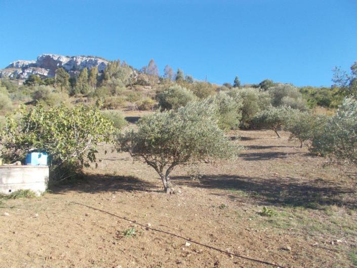 Image No.24-3 Bed Land for sale