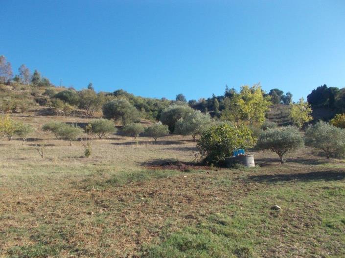 Image No.27-3 Bed Land for sale