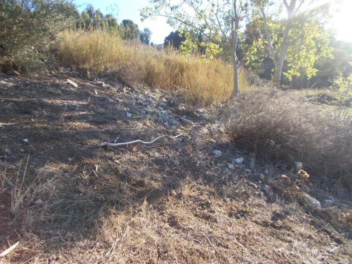 Image No.31-3 Bed Land for sale