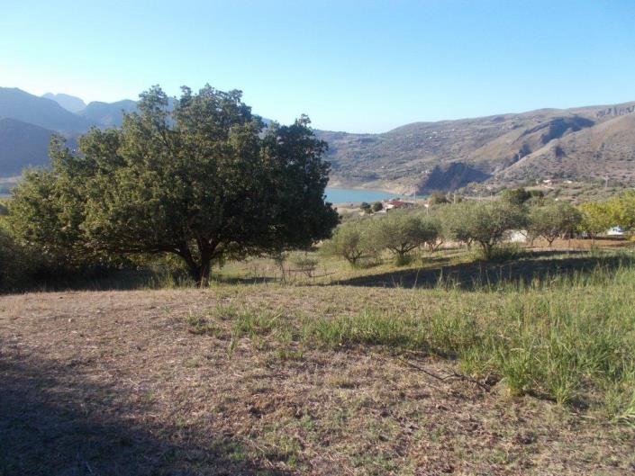 Image No.39-3 Bed Land for sale