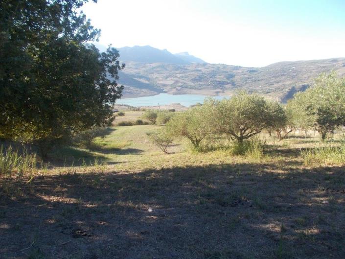 Image No.1-3 Bed Land for sale