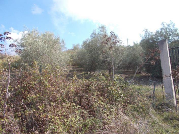 Image No.3-3 Bed Villa for sale