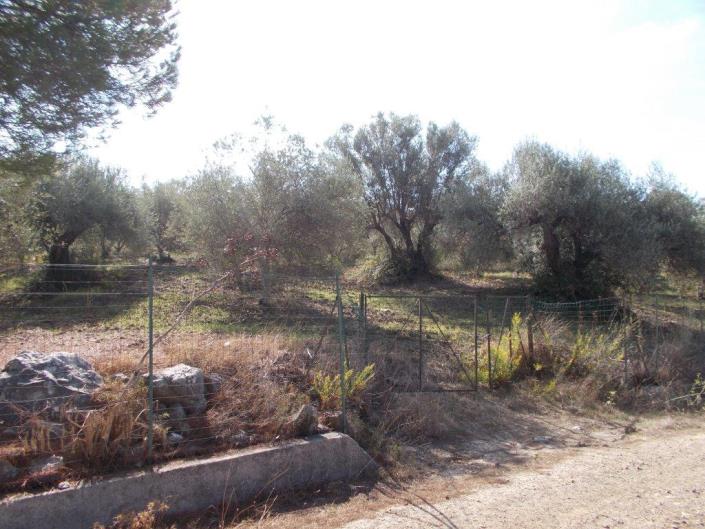 Image No.8-3 Bed Villa for sale