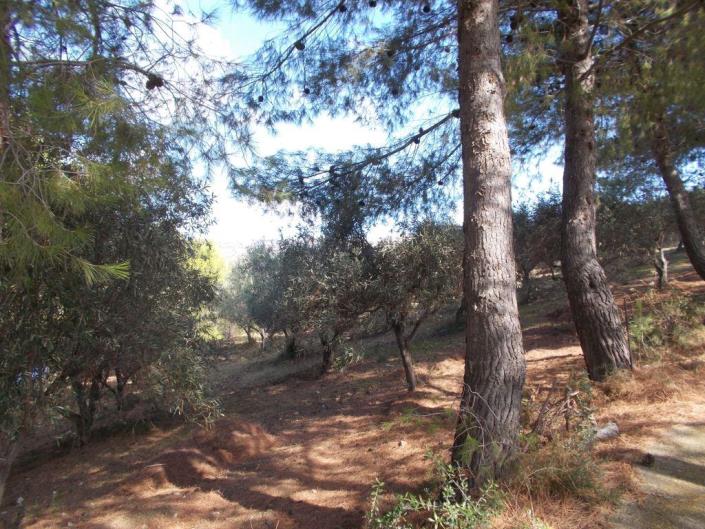 Image No.16-3 Bed Villa for sale