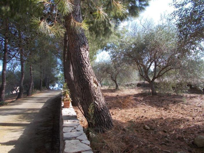 Image No.18-3 Bed Villa for sale