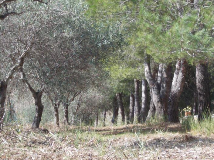 Image No.24-3 Bed Villa for sale