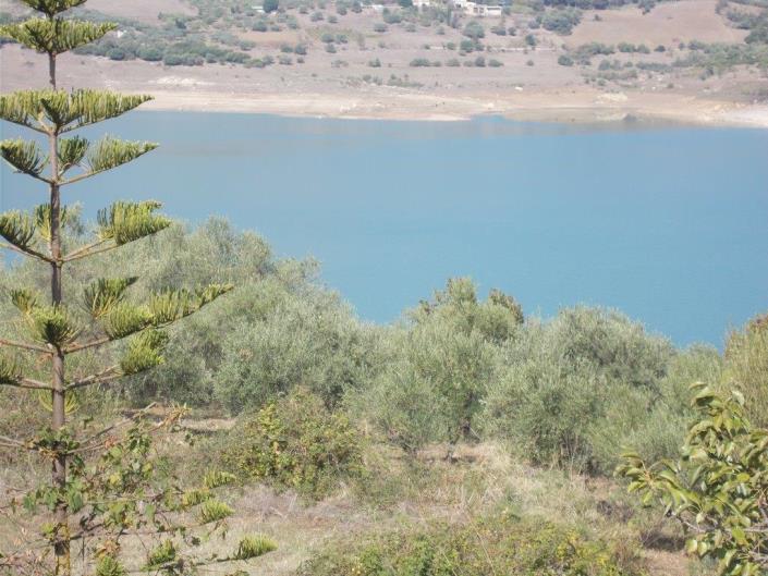 Image No.36-3 Bed Villa for sale