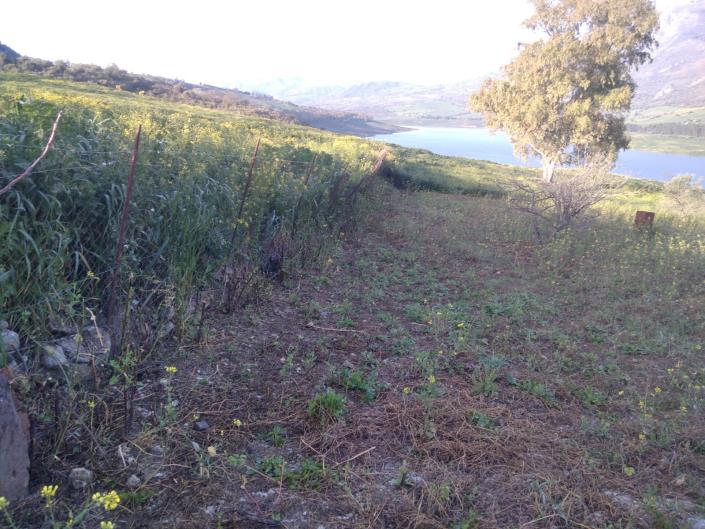 Image No.12-Villa de 1 chambre à vendre à Caccamo