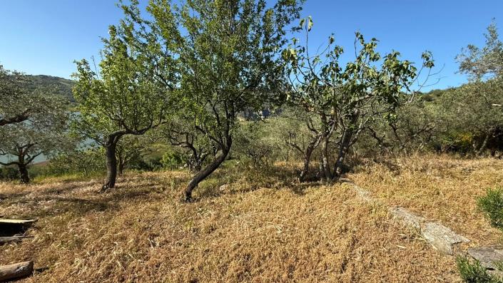 Image No.25-3 Bed Villa for sale