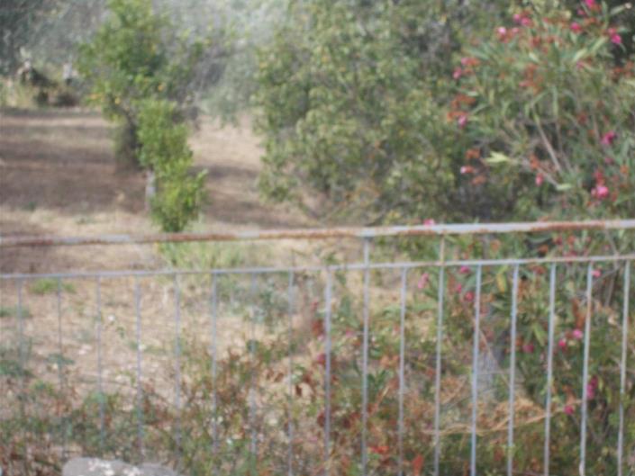 Image No.28-Villa de 2 chambres à vendre à Caccamo