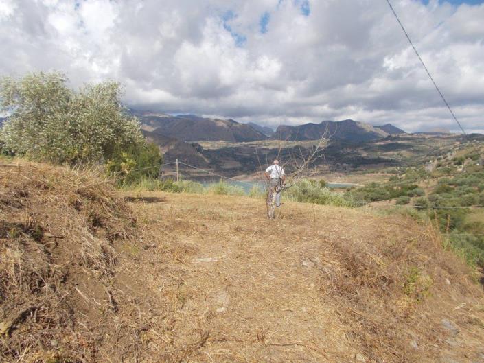 Image No.34-Villa de 2 chambres à vendre à Caccamo