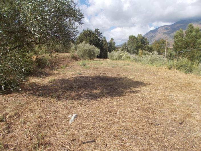 Image No.35-Villa de 2 chambres à vendre à Caccamo