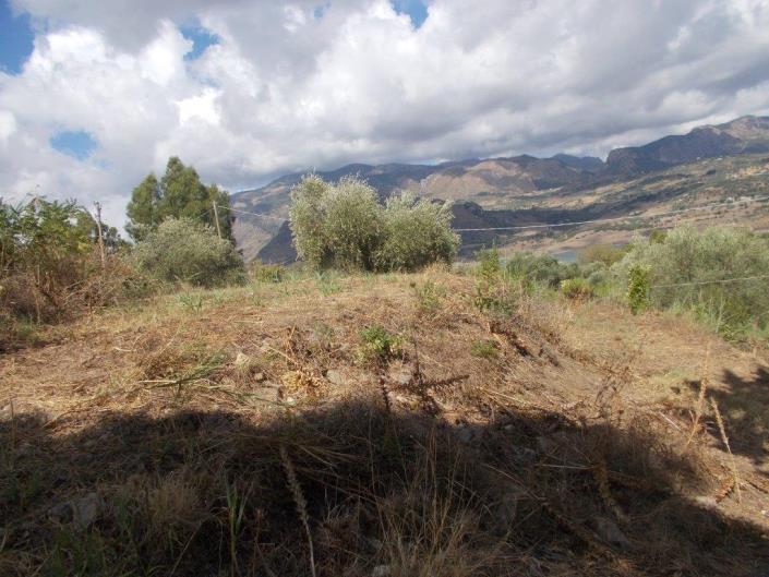 Image No.38-Villa de 2 chambres à vendre à Caccamo