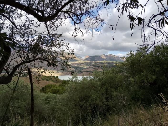 Image No.2-1 Bed Villa for sale