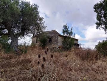 Ciaccio-Salv---Ci----1-