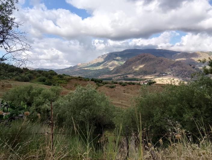 Image No.7-1 Bed Villa for sale