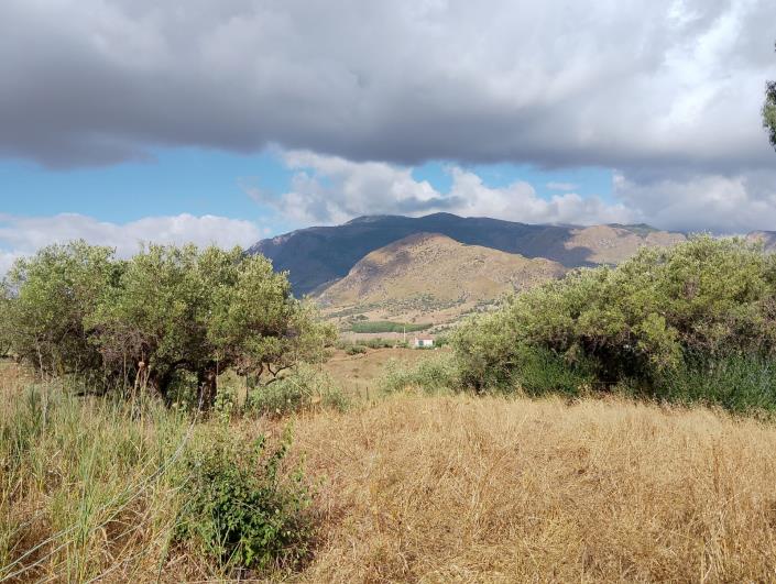 Image No.17-1 Bed Villa for sale