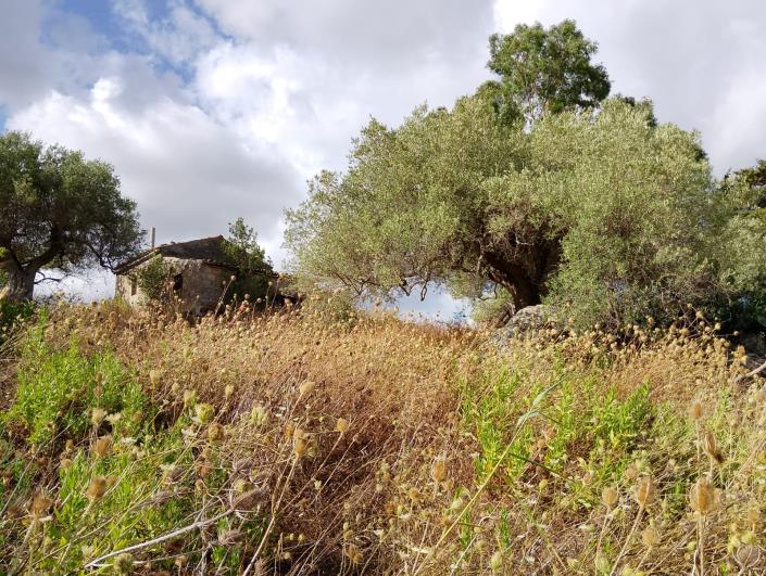 Image No.20-1 Bed Villa for sale