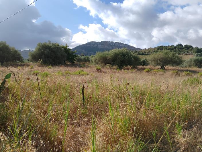 Image No.23-1 Bed Villa for sale