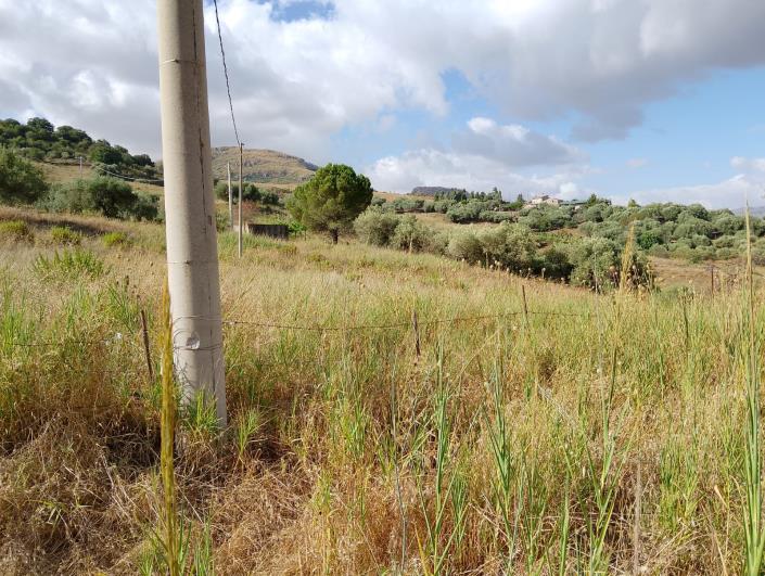 Image No.25-1 Bed Villa for sale