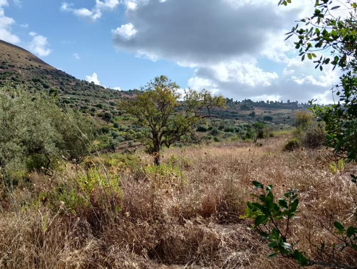 Image No.27-1 Bed Villa for sale