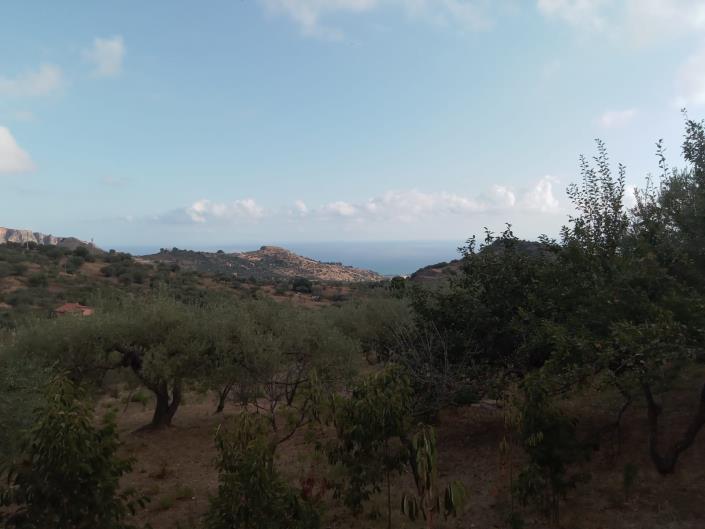 Image No.2-3 Bed Villa for sale