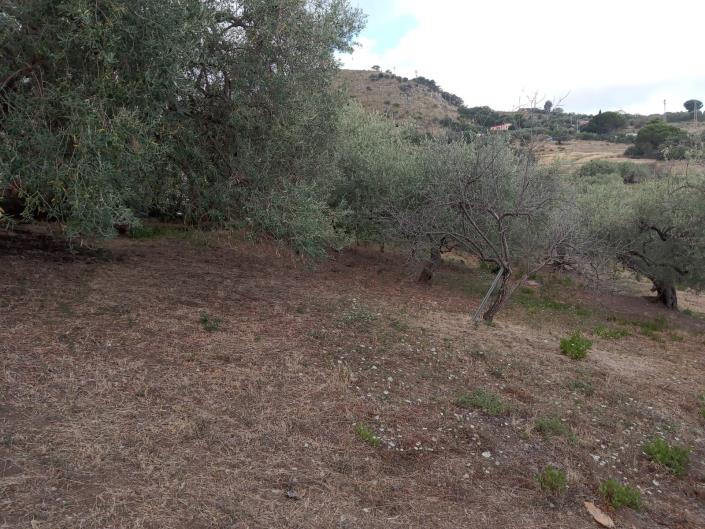 Image No.7-3 Bed Villa for sale