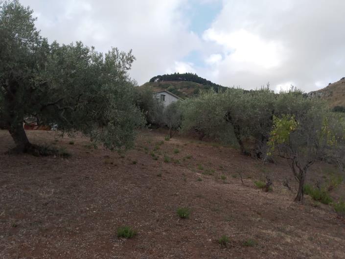 Image No.9-3 Bed Villa for sale