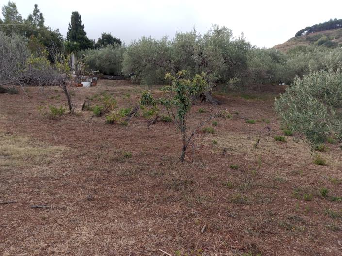 Image No.17-3 Bed Villa for sale