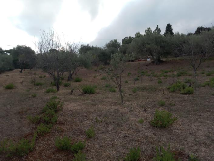 Image No.18-3 Bed Villa for sale