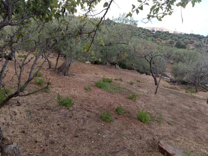 Image No.22-3 Bed Villa for sale