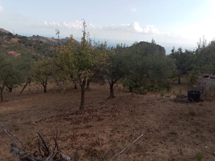 Image No.26-3 Bed Villa for sale