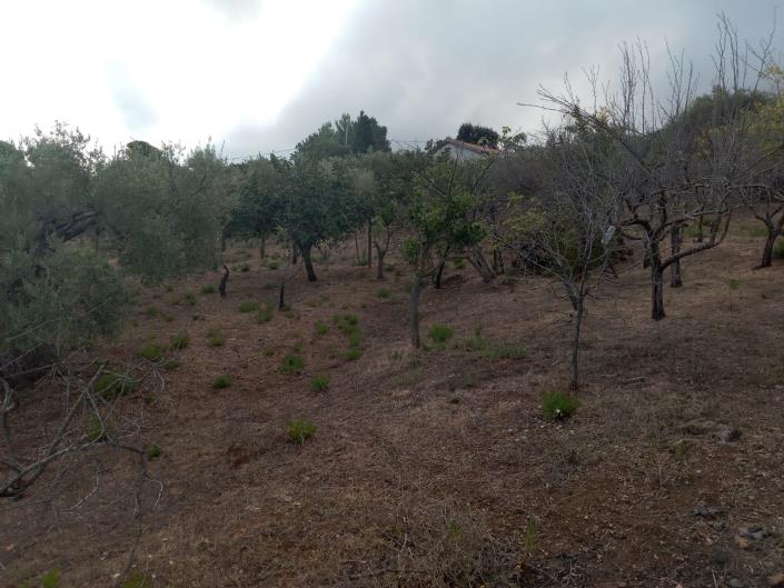 Image No.27-3 Bed Villa for sale