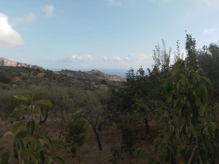 Image No.34-3 Bed Villa for sale